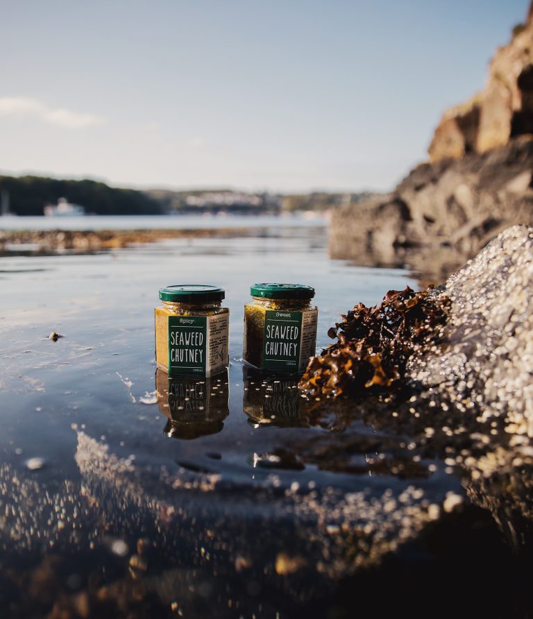 Isle of Mull Seaweed