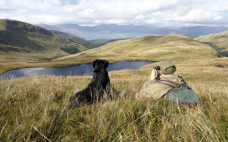 Forest Field & Glen