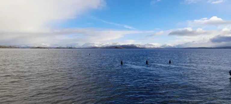 Seaweed Farming Scotland
