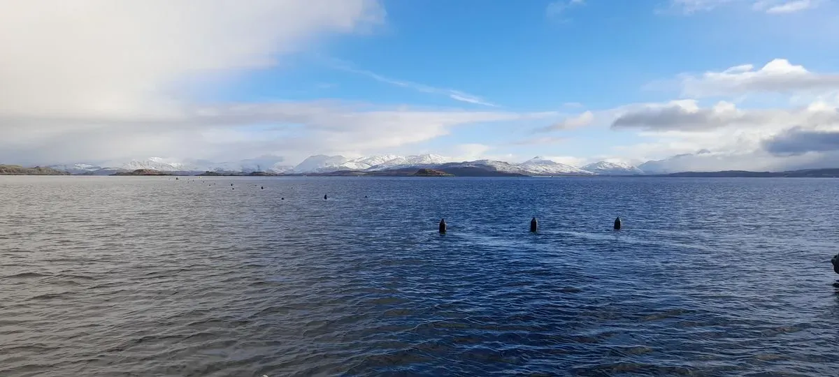 Seaweed Farming Scotland